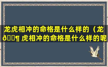 龙虎相冲的命格是什么样的（龙 🐶 虎相冲的命格是什么样的呢）